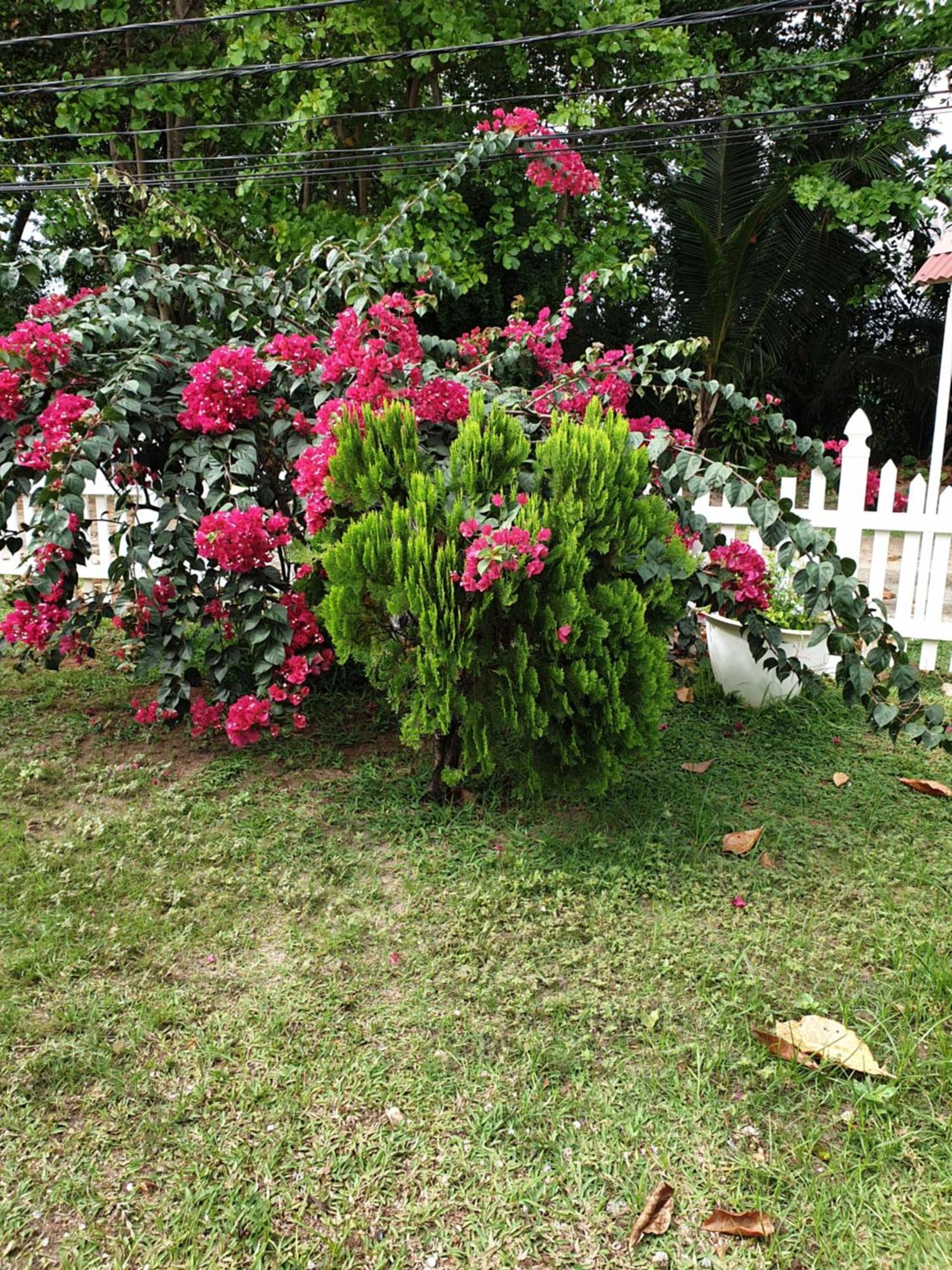 Villa Authentique Insel Insel La Digue Exterior foto